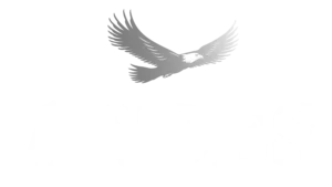 LOGO ANDES NUEVO_3_5.png